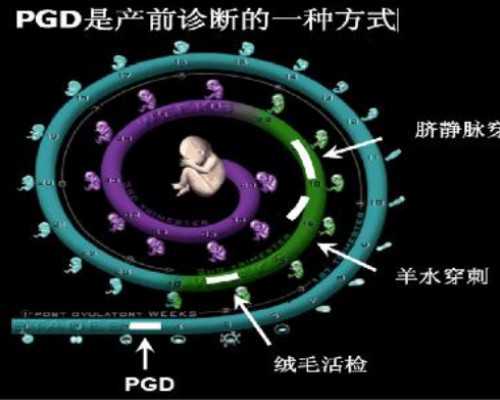 国内代怀哪里便宜,无精症做供精试管能是自己有血缘关系的亲*孩子吗?