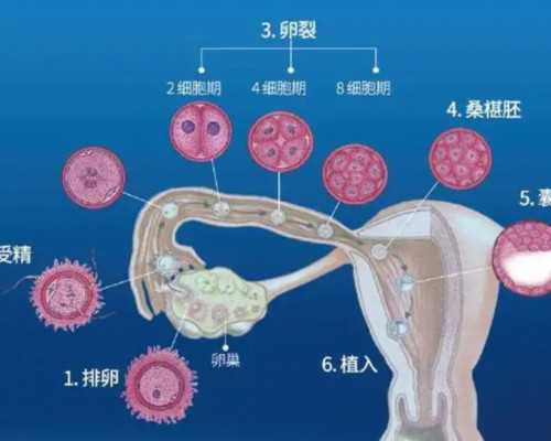 中国哪家医院供卵不用排队的,在陕西省人民医院做第二代试管婴儿 进周怎么这么困难