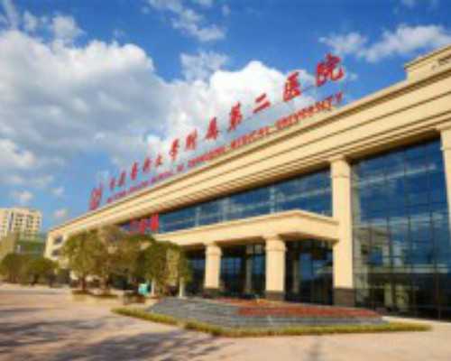 国内怎么供卵生下孩子,失独家庭做试管婴儿优惠政策(失独做试管有补贴吗)